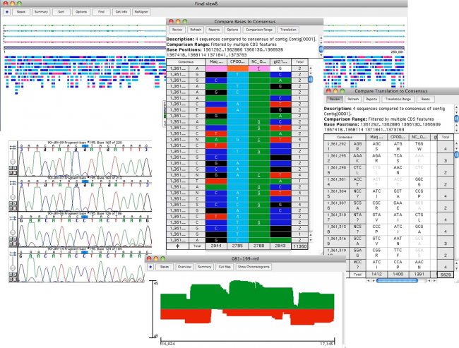 General Analysis Dna Sequencing Software Sequencher From Gene Codes